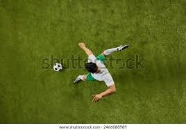 为什么外野手在判断全垒打墙位置时需要建立精准的身体空间感