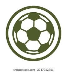 NBA杯战报：西亚卡姆24+11，萨尔24分8板，步行者119-86大胜奇才